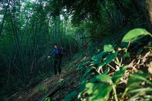 BIB: 
                            <button type="button" onclick="openModal(28124461)" class="btn btn-primary btn-sm float-right btn-popup" data-toggle="modal" data-target=".modal-high-quality">
                        <i class="fas fa-shopping-cart"></i> Add to Cart
                    </button>
                                            <button type="button" onclick="isThisMe(28124461, true)" class="btn btn-success btn-sm float-right btn-popup btn-isme hidden" data-toggle="tooltip" data-placement="bottom" title="นี่คือรูปของคุณใช่ไหม คลิกที่นี่เพื่อเอาเข้าอัลบั้ม">
                        <i class="fas fa-plus"></i> Add to album
                    </button>
                    <button type="button" onclick="isThisMe(28124461, false)" class="btn btn-warning btn-sm float-right btn-popup btn-isnotme hidden">
                        <i class="fas fa-ban"></i> Remove from album
                    </button>